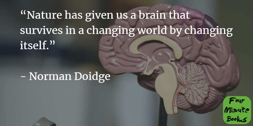 The Brain that Changes Itself Summary