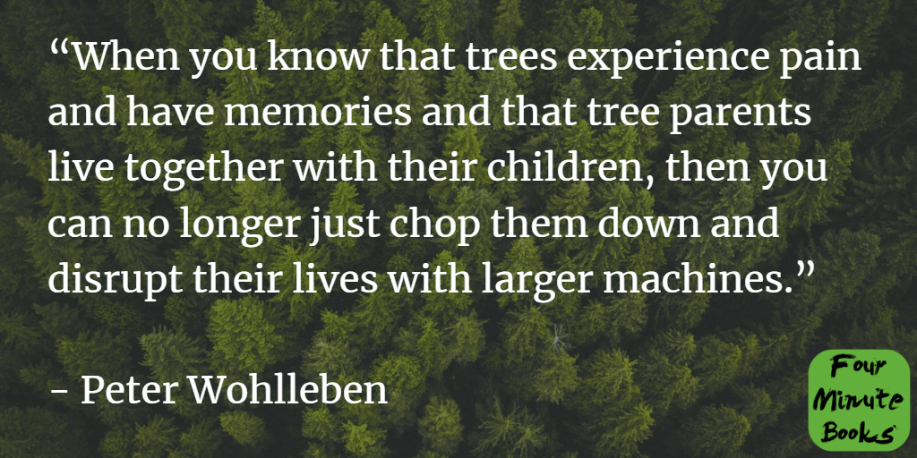 The Hidden Life of Trees Summary