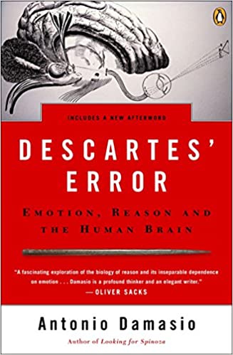 Descartes' Error Book Cover