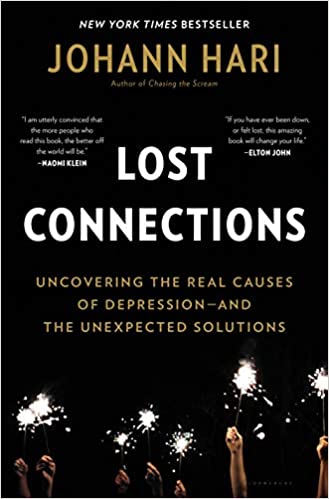 Lost Connections Book Cover