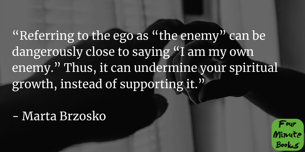 Ego Friendly Summary