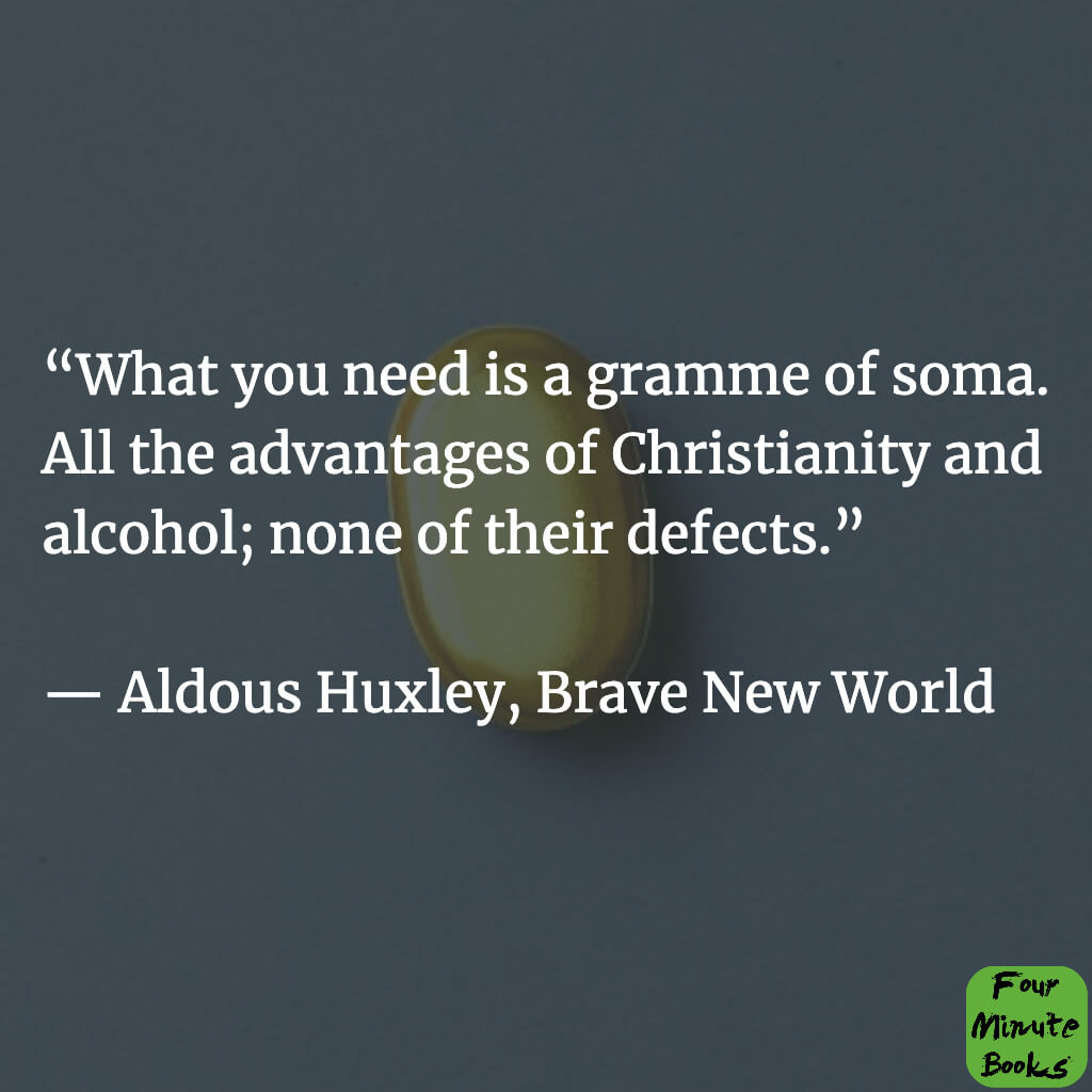 Quotes from Brave New World #17