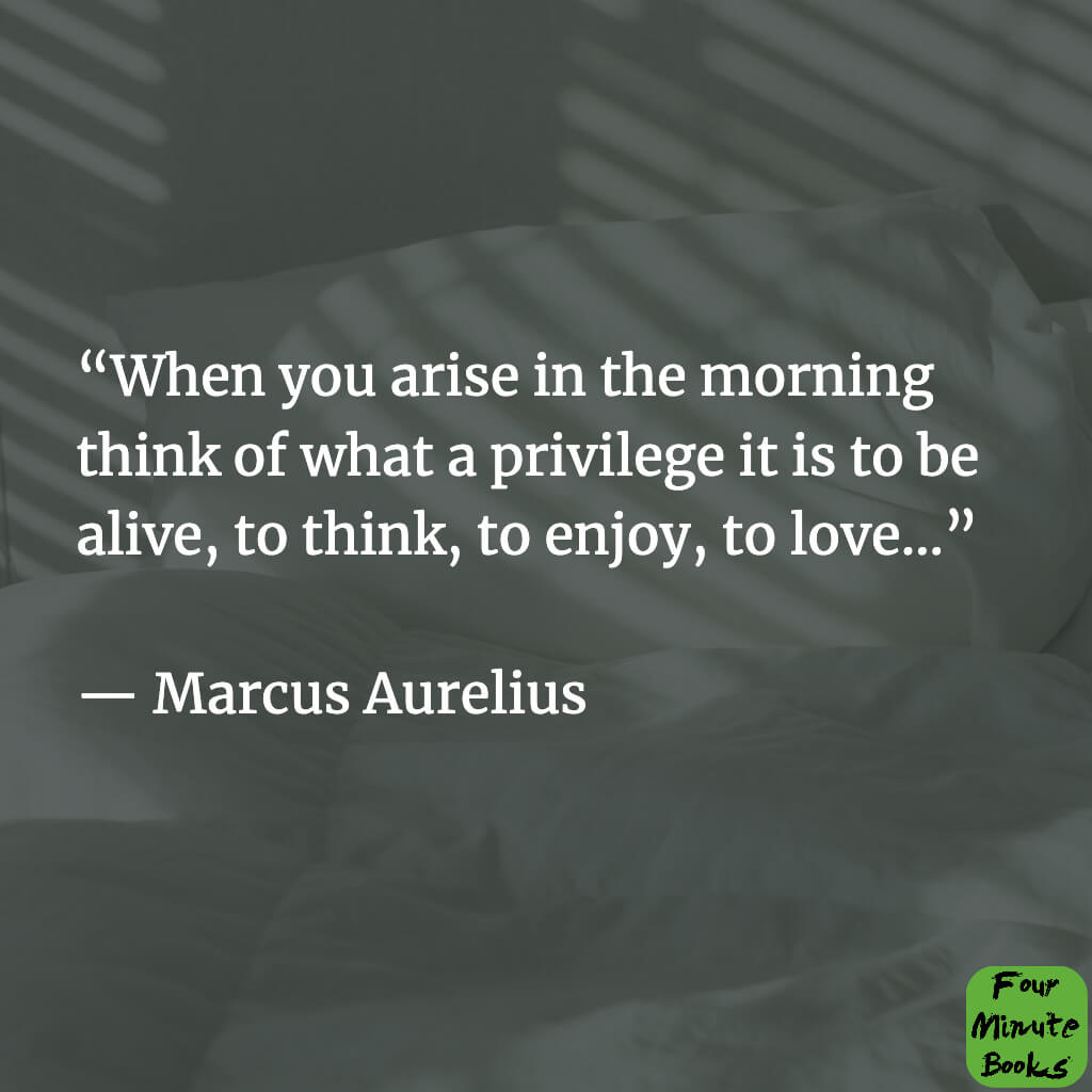 The 44 Most Important Quotes From Marcus Aurelius #14