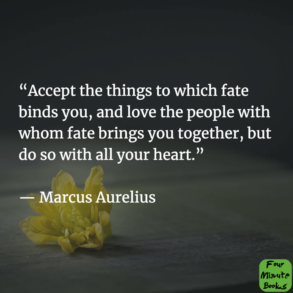 The 44 Most Important Quotes From Marcus Aurelius #15