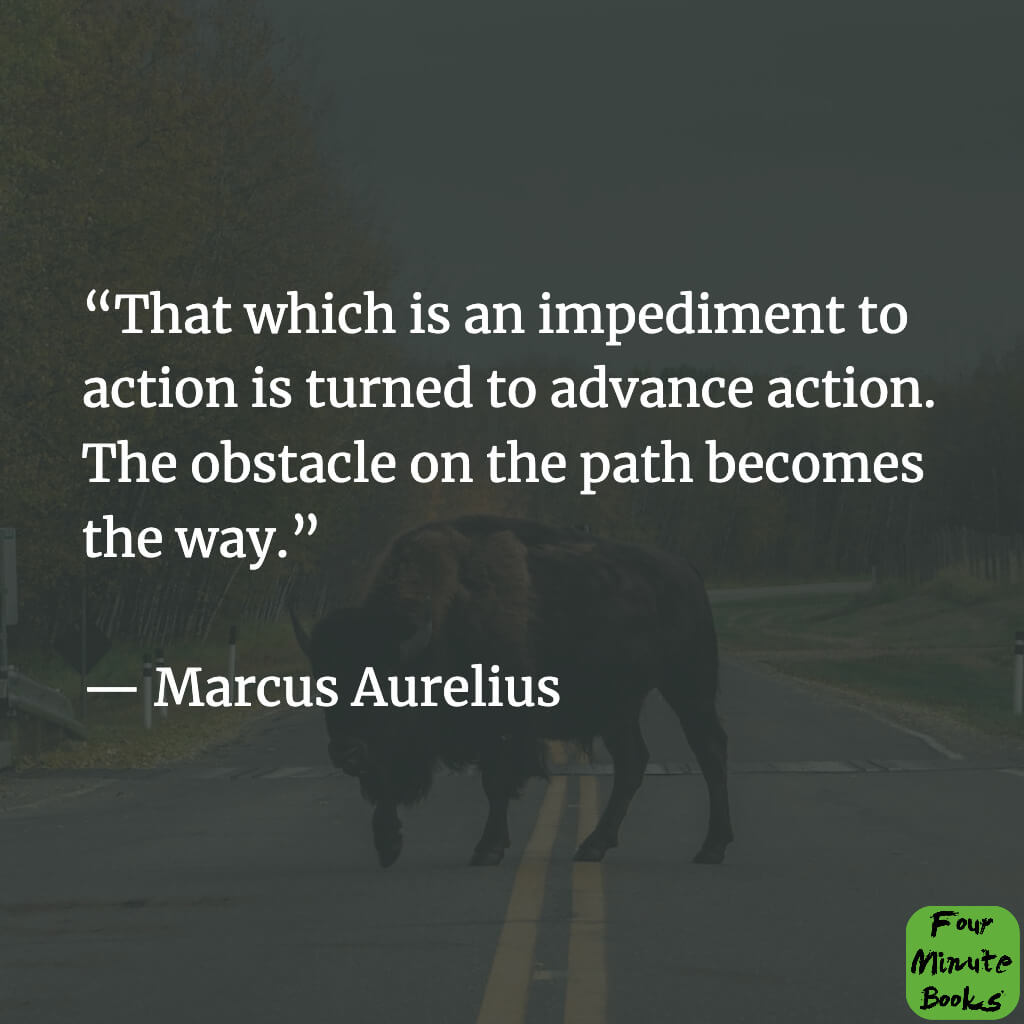 The 44 Most Important Quotes From Marcus Aurelius #20