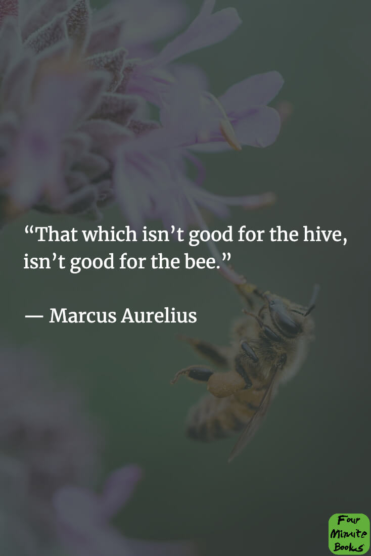 Top 44 Marcus Aurelius Quotes #26
