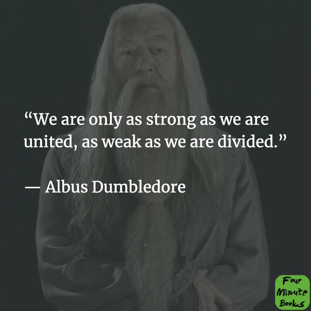 The 21 Best Quotes by Dumbledore #11